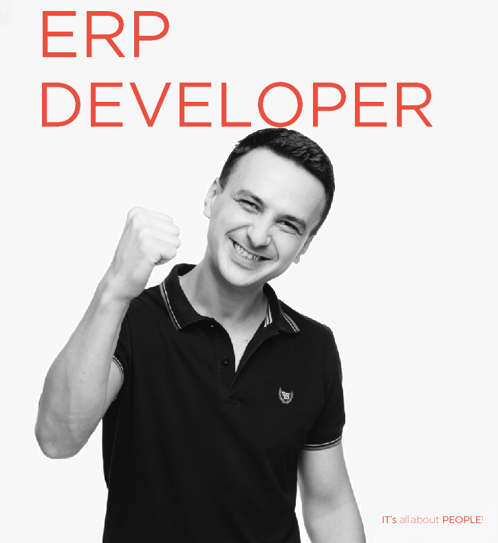 ERP-developer-V